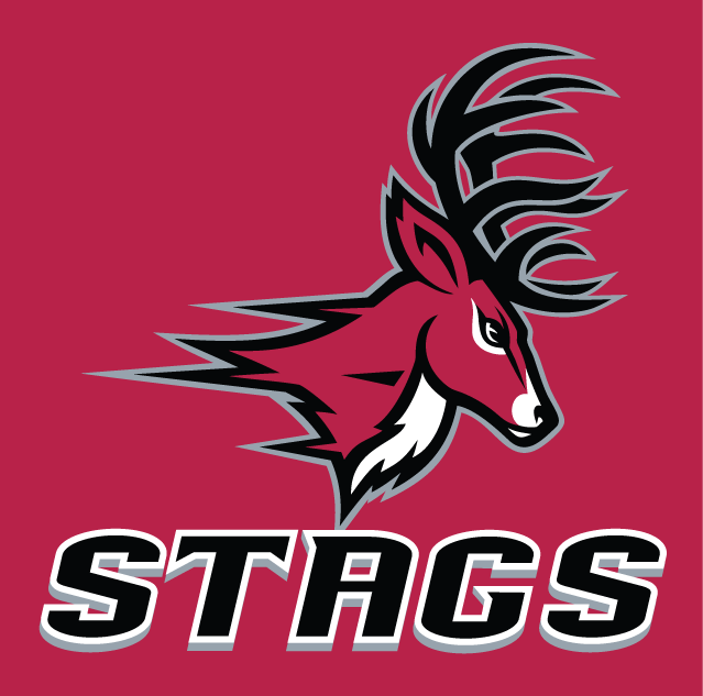 Fairfield Stags 2002-Pres Alternate Logo 04 vinyl decal